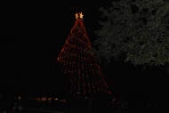 2013-12-20 19-35-13 Trail of Lights.jpg